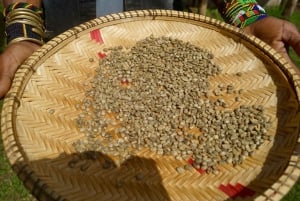 From Arusha: Coffee Farm and Mangalia Waterfalls Tour