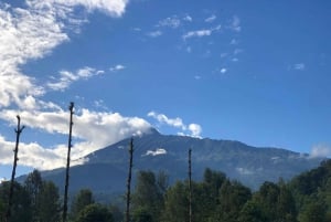 From Arusha: Coffee Farm and Mangalia Waterfalls Tour