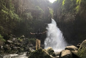 From Arusha: Coffee Farm and Mangalia Waterfalls Tour