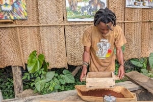 アルーシャ発：コーヒー農園とマンガリアの滝ツアー