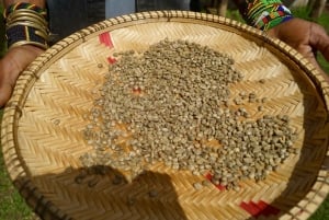 アルーシャ発：コーヒー農園とマンガリアの滝ツアー