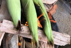 アルーシャ発：コーヒー農園とマンガリアの滝ツアー