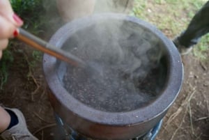 アルーシャ発：コーヒー農園とマンガリアの滝ツアー