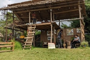 アルーシャ発：コーヒー農園とマンガリアの滝ツアー