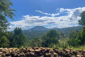 アルーシャ発：コーヒー農園とマンガリアの滝ツアー