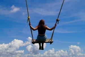 アルーシャ発：コーヒー農園とマンガリアの滝ツアー