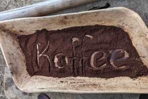 アルーシャ発：コーヒー農園とマンガリアの滝ツアー