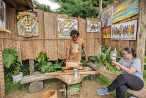 アルーシャ発：コーヒー農園とマンガリアの滝ツアー