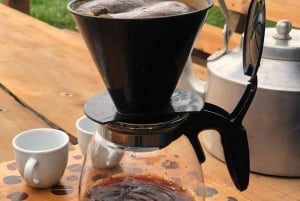 アルーシャ発：コーヒー農園とマンガリアの滝ツアー