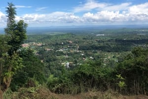アルーシャ発：コーヒー農園とマンガリアの滝ツアー