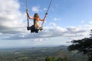 アルーシャ発：コーヒー農園とマンガリアの滝ツアー