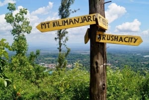 アルーシャ発：コーヒー農園とマンガリアの滝ツアー