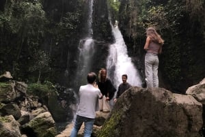 アルーシャ発：コーヒー農園とマンガリアの滝ツアー