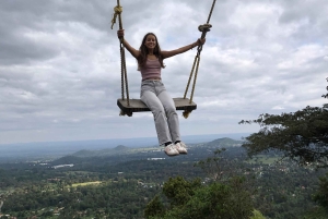 アルーシャ発：コーヒー農園とマンガリアの滝ツアー