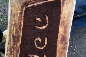 アルーシャ発：コーヒー農園とマンガリアの滝ツアー