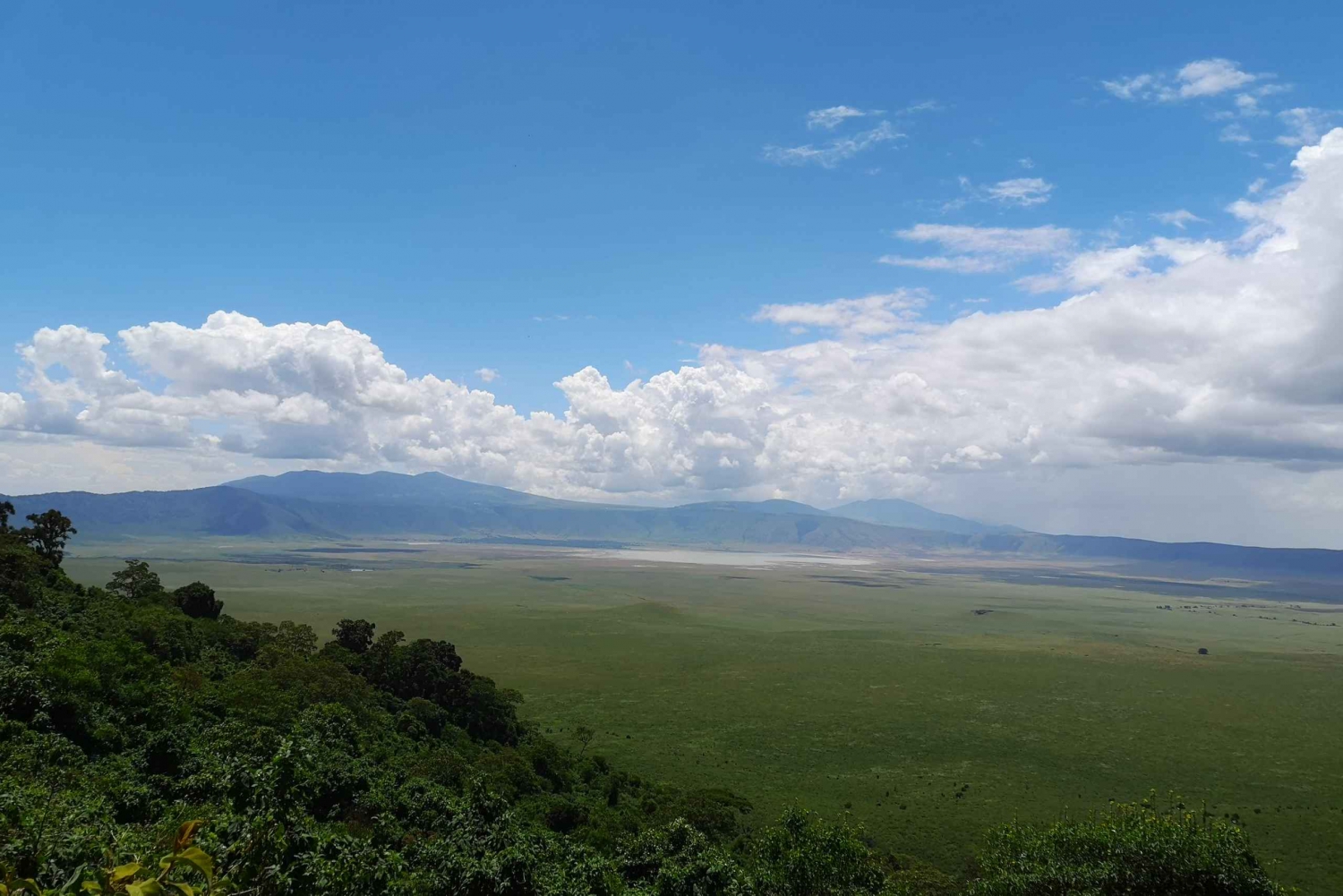 From Arusha: Day Trip to Ngorongoro Crater