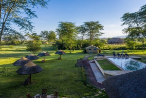 From Arusha: Discover the real Africa from Lake Manyara
