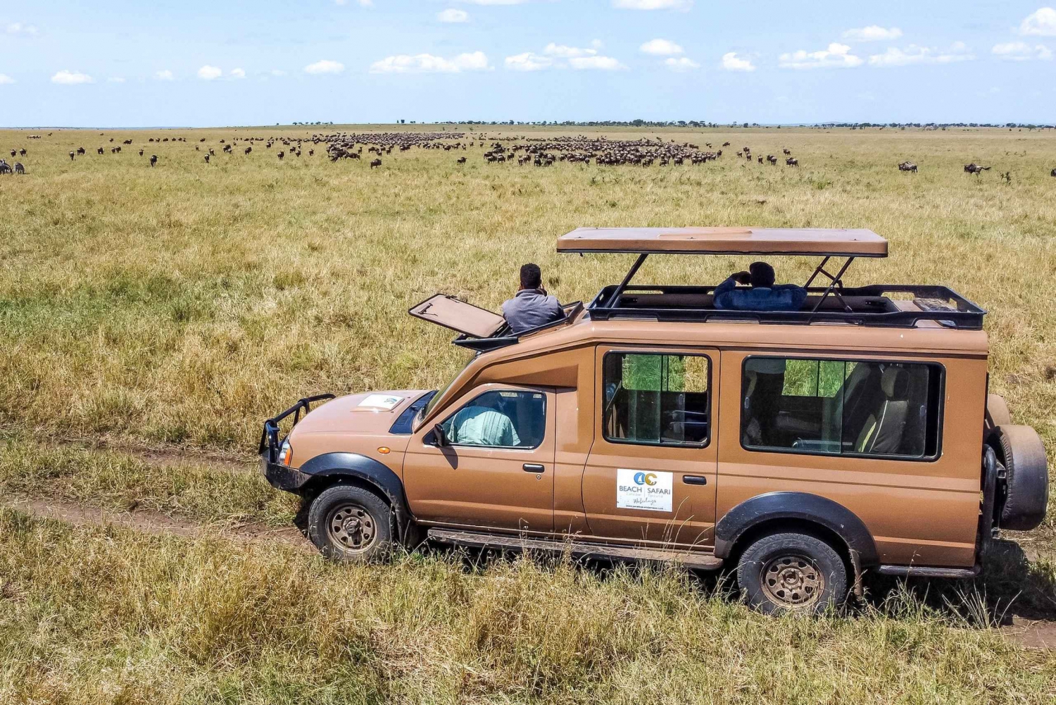 Fra Arusha: Kjør og fly tilbake til Tarangire og Serengeti med bil og fly