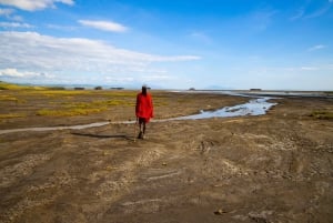 De Arusha: Safári de ida e volta em Tarangire e Serengeti