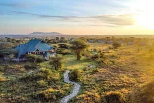 Von Arusha: Fahrt und Rückflug Safari Tarangire & Serengeti