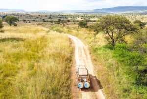 Vanuit Arusha: drijf- en vliegsafari Tarangire & Serengeti