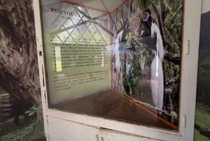 Au départ d'Arusha : visite guidée de la ville avec les meilleurs points forts.