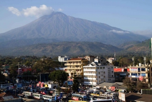Au départ d'Arusha : visite guidée de la ville avec les meilleurs points forts.