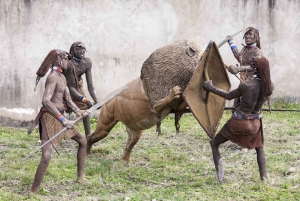 Fra Arusha: Guidet byrundtur med de beste høydepunktene