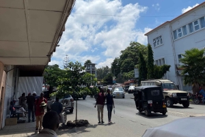 Fra Arusha: Guidet byrundtur med de beste høydepunktene