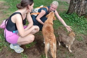 Fra Arusha: Ilkidinga Village og Napuru-vandfaldene