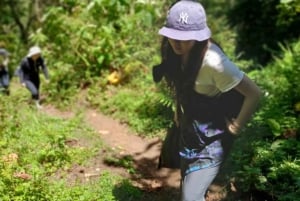 Fra Arusha: Ilkidinga Village og Napuru-vandfaldene