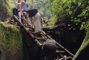 Fra Arusha: Ilkidinga Village og Napuru-vandfaldene