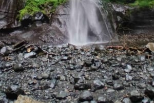 Fra Arusha: Ilkidinga Village og Napuru-vandfaldene