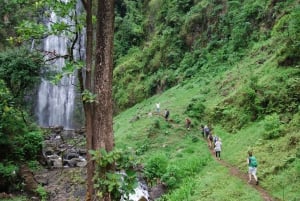 Kilimanjaro: Maasai village visit, waterfalls & coffee tour