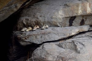 Arusha: Tour zum Lake Eyasi, zu den Dörfern der Datoga und Hadzabe