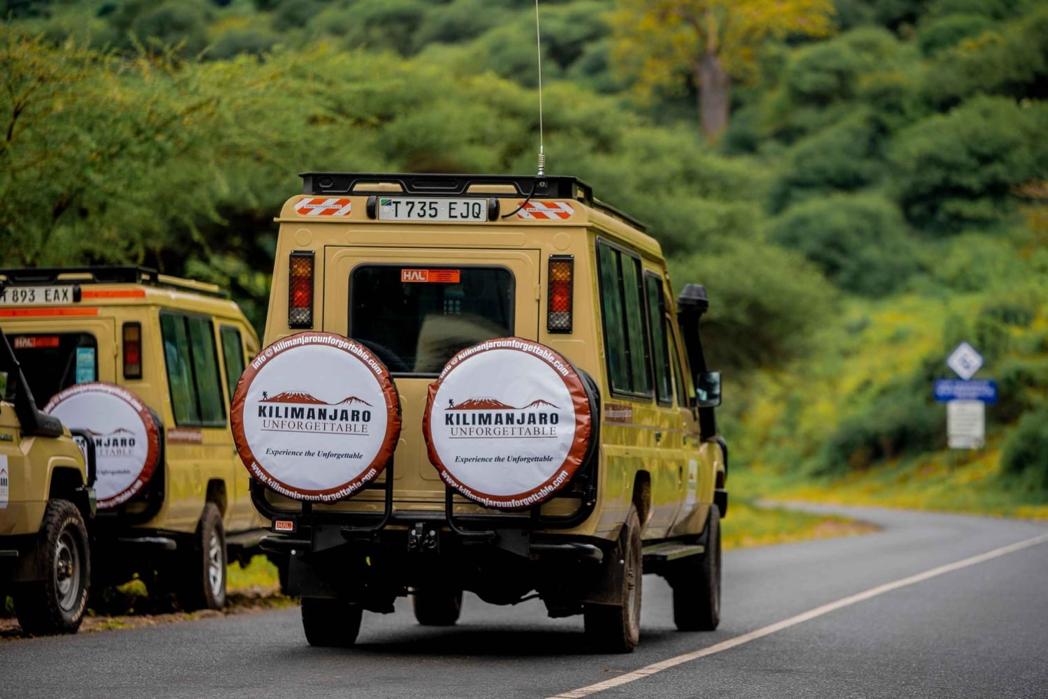 Fra Arusha: Dagsudflugt til Lake Manyara Nationalpark