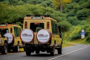 Fra Arusha: Dagsudflugt til Lake Manyara Nationalpark