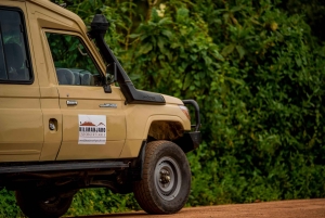 Fra Arusha: Dagsudflugt til Lake Manyara Nationalpark