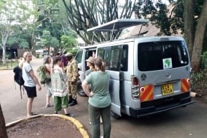 De Arusha: Viagem de 1 dia ao Parque Nacional do Lago Manyara