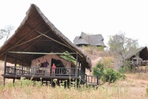 Desde Arusha: Tour de 2 días al lago Manyara y al cráter Ngorongoro