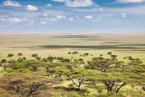 Desde Arusha: Tour de 2 días al lago Manyara y al cráter Ngorongoro