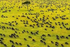 Desde Arusha: Tour de 2 días al lago Manyara y al cráter Ngorongoro