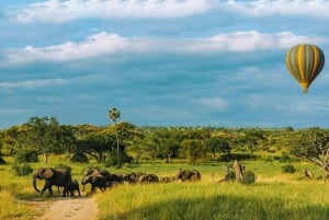 Desde Arusha: Tour de 2 días al lago Manyara y al cráter Ngorongoro