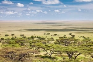 Von Arusha: 2-tägige Tour zum Lake Manyara und zum Ngorongoro-Krater