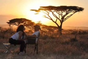 Von Arusha: 2-tägige Tour zum Lake Manyara und zum Ngorongoro-Krater