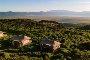 Von Arusha: 2-tägige Tour zum Lake Manyara und zum Ngorongoro-Krater