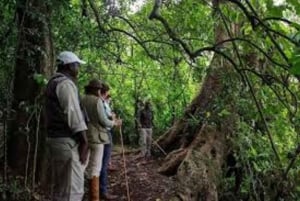 From Arusha: Napuru Waterfall and Lake Duluti Guided Tour