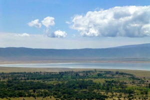 Från Arusha: Ngorongorokratern med naturtur och lunch