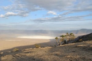From Arusha: Ngorongoro Crater with Nature Tour and Lunch