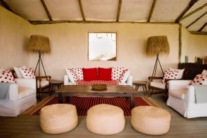 Da Arusha: safari nel Serengeti, Tarangire e Ngorongoro